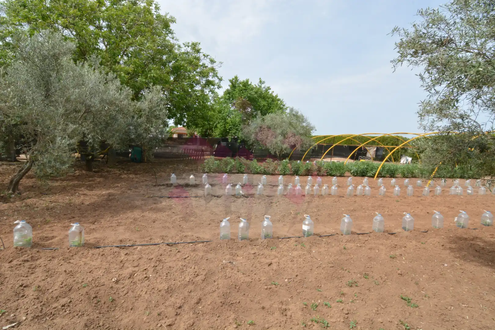 Jardí de Casa o xalet en venda en Ciudad Real amb Aire condicionat, Calefacció i Jardí privat