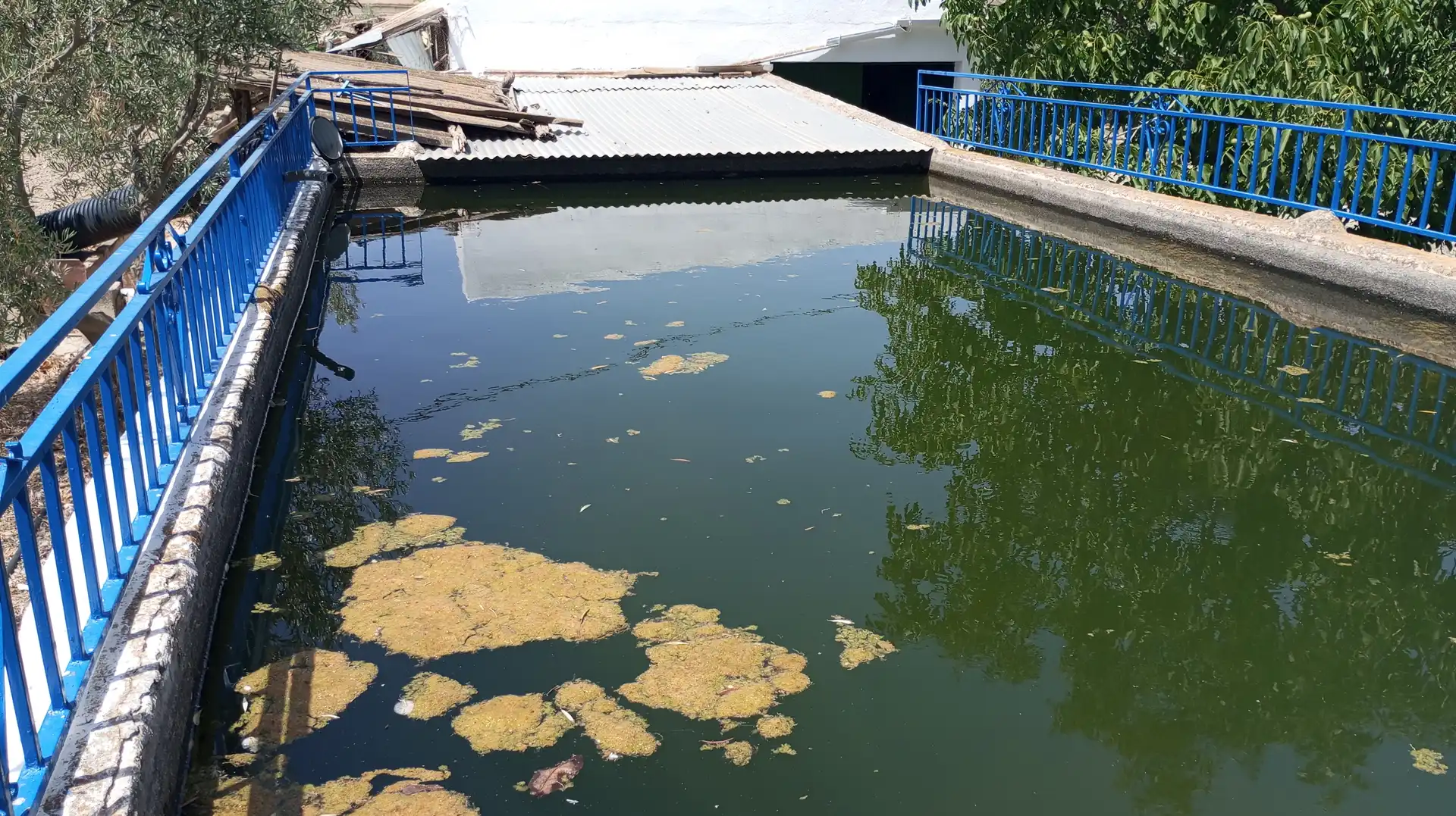 Piscina de Casa o xalet en venda en Baza amb Moblat