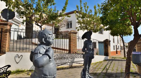 En el corazón de la Serranía de Cádiz, imatge 2