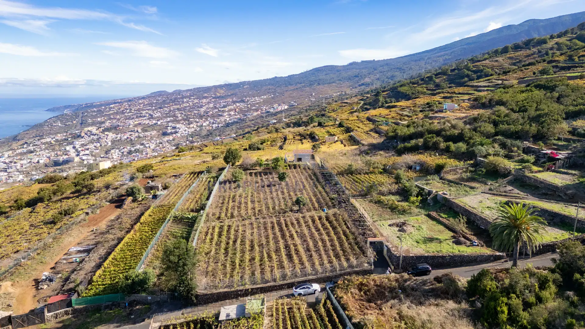Finca rústica en venda en Santa Úrsula amb Terrassa