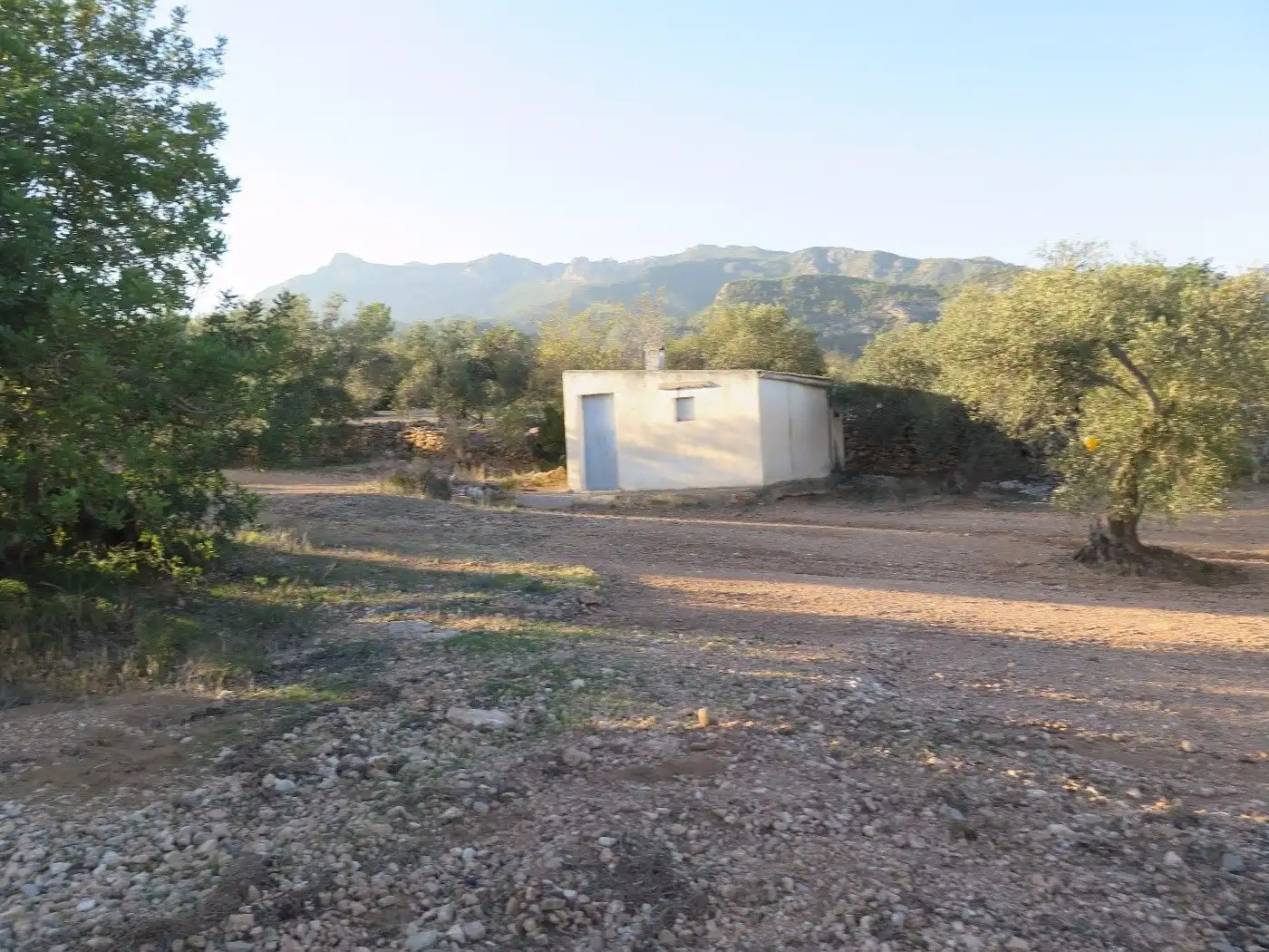 Terrain résidentiel à vendre à Xerta, imagen 4
