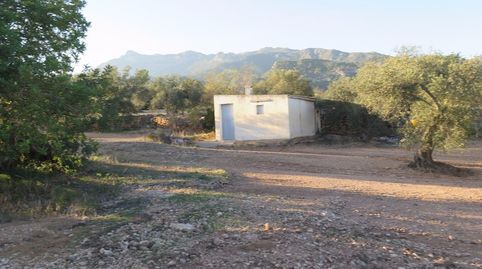 con casa de campo, imatge 4
