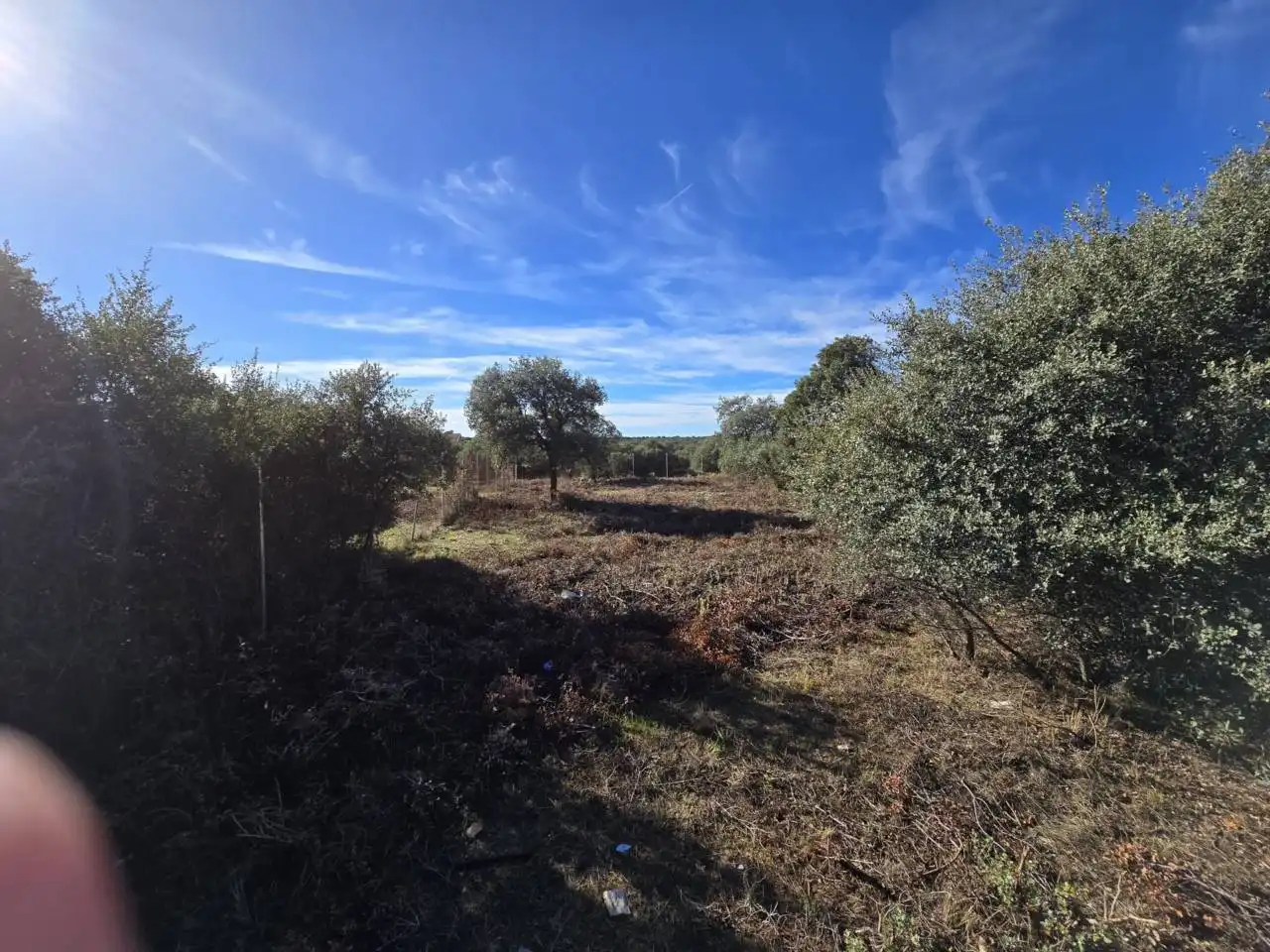 Terreno residencial en venta en Pioz, imagen 3