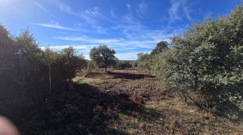 Terreno en venta en Pioz, immagine 3