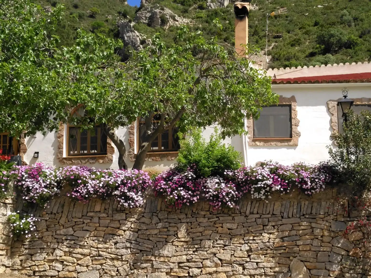 Vista exterior de Local en venda en Alfara de Carles amb Moblat