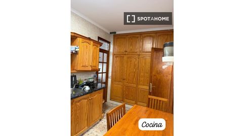 Foto 5 de Habitación en Alcaravaneras, Las Palmas de Gran Canaria