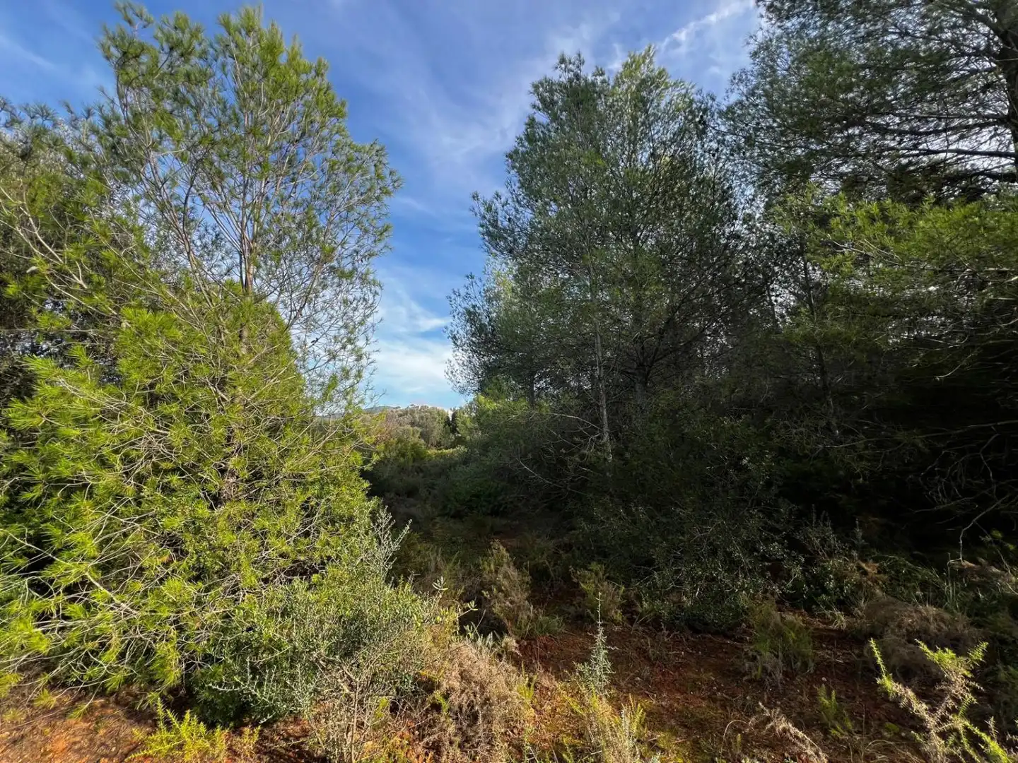 Residential for sale in Sant Joan de Moró