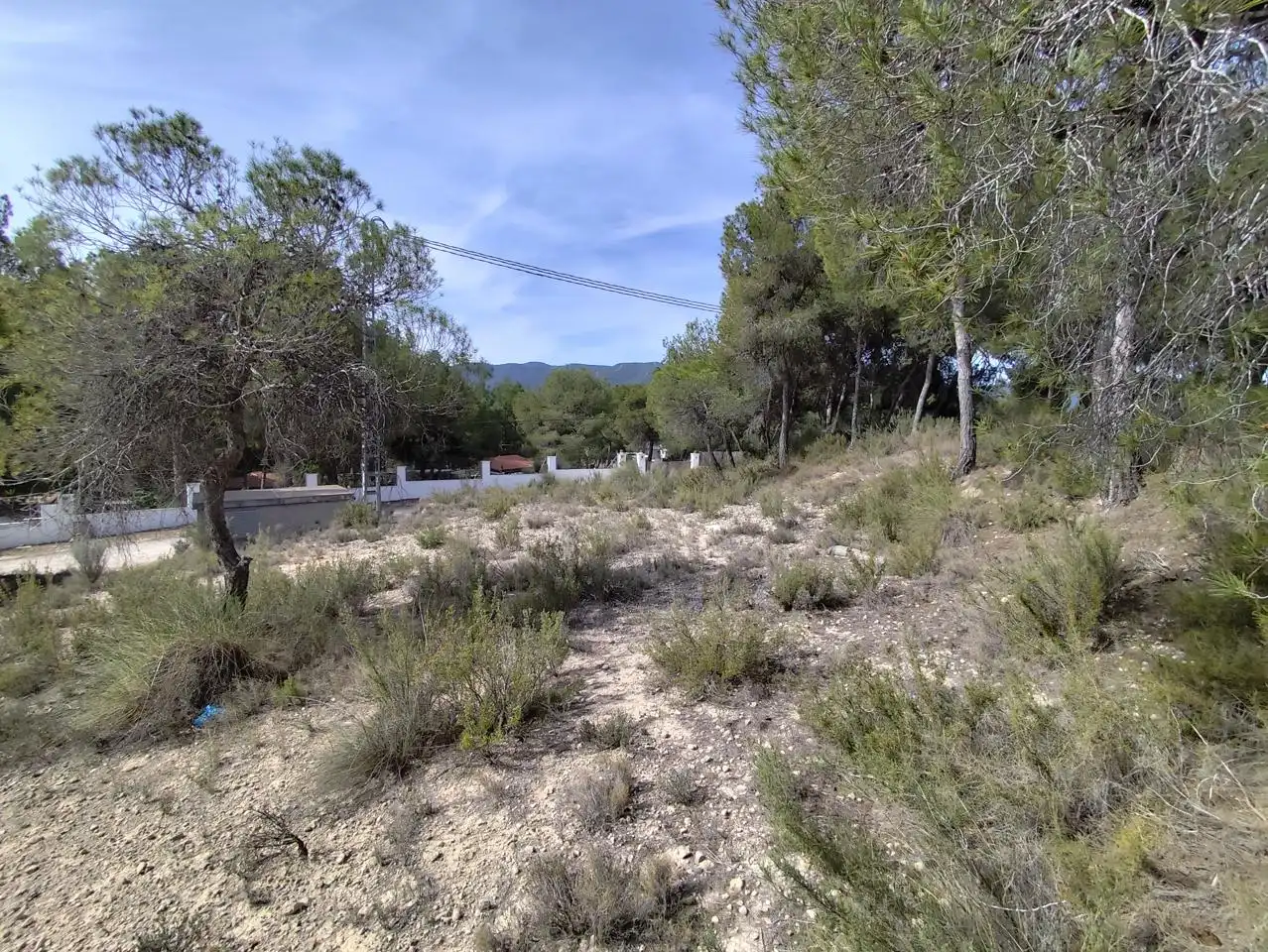 Terrenys i solars en venda a Tibi, imagen 2