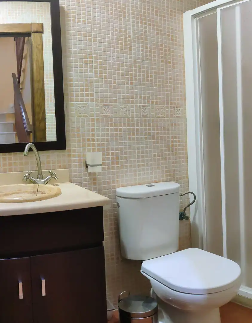Baño de Dúplex en venta en Macael