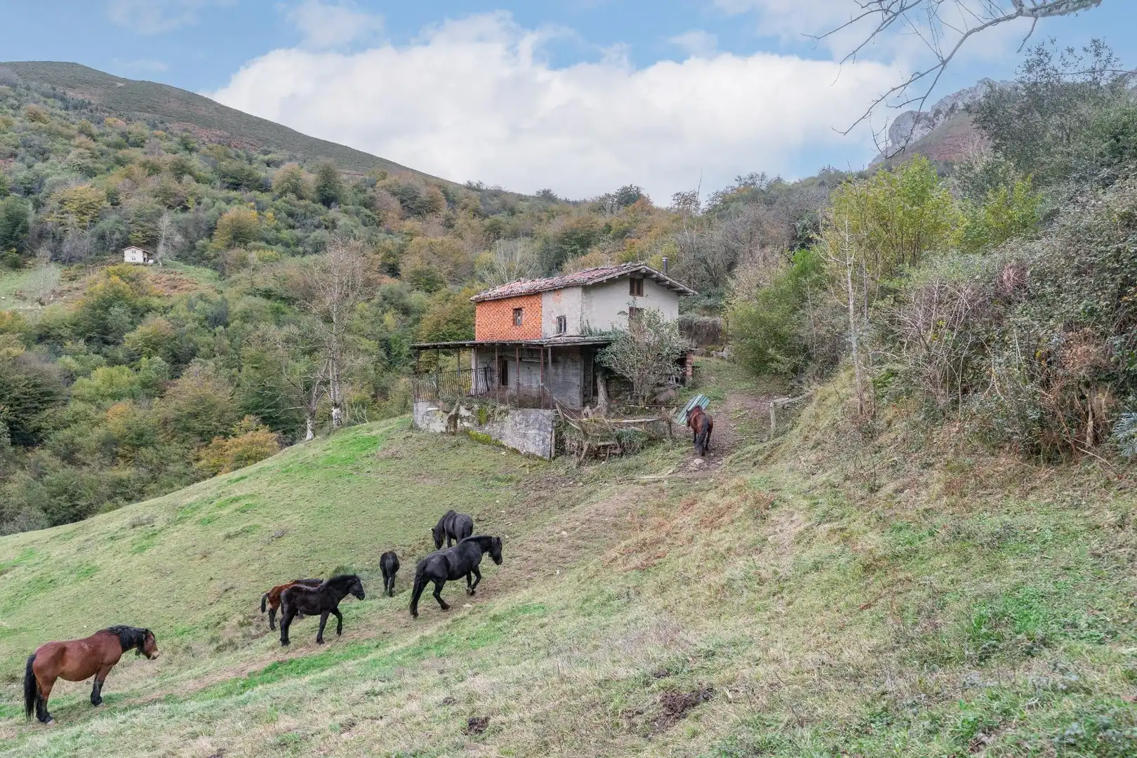 Außenansicht von Grundstücke zum Verkauf in Laviana