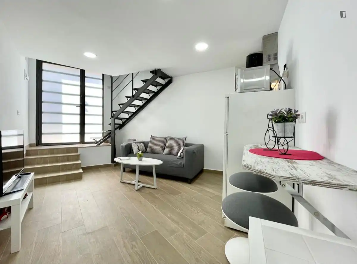 Sala d'estar de Apartament de lloguer en Barcelona amb Calefacció, Moblat i Forn