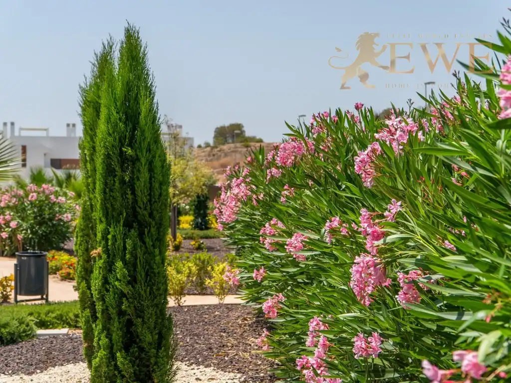 Apartment zum Verkauf in Vistabella Golf, imagen 33