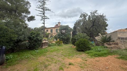 Foto 5 de Casa o xalet en venda a Son Serra - Sa Vileta, Palma de Mallorca