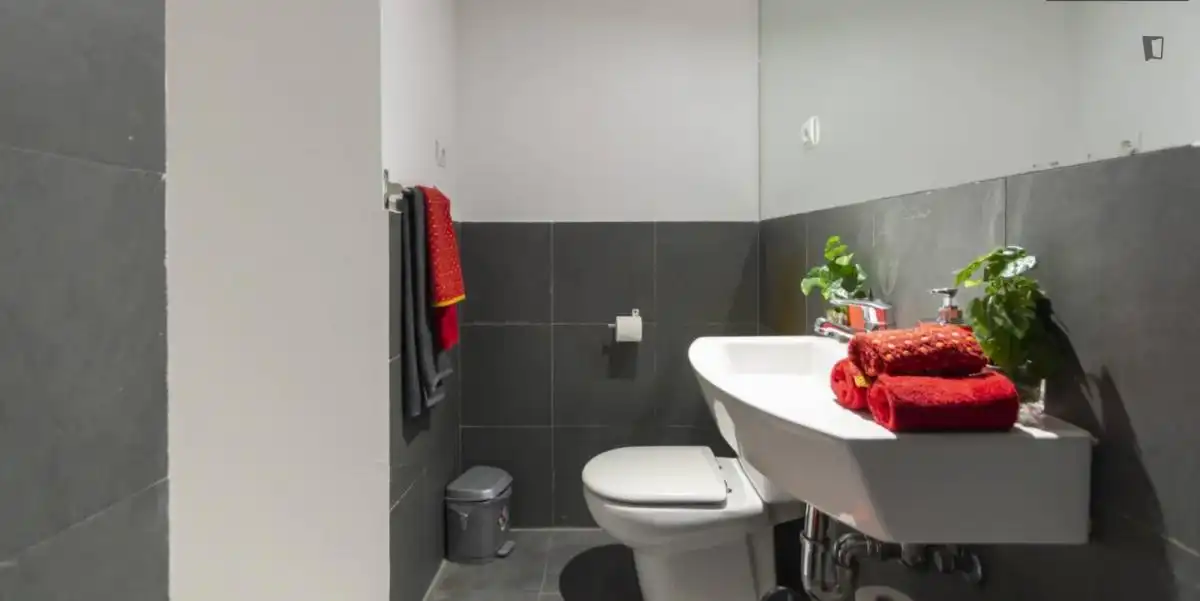 Apartments for rent in Puerta del Ángel