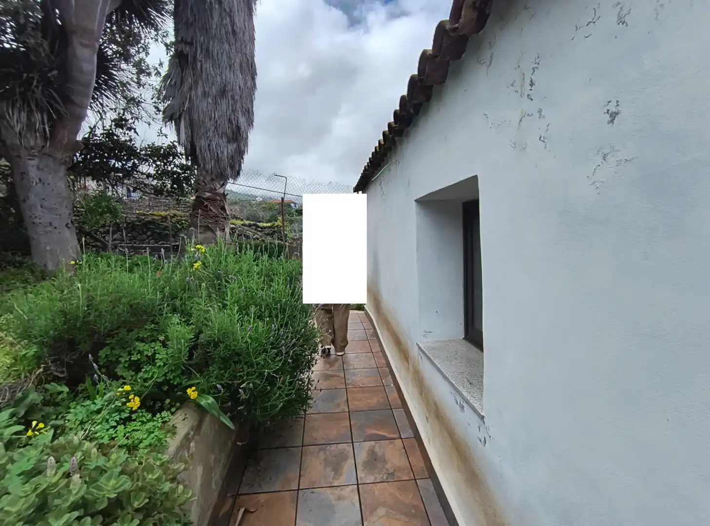 Exterior view of Houses for sale in La Orotava  with Private garden, Terrace and Storage room