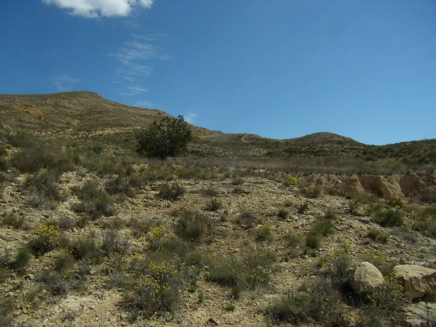 Terreno rustico in vendita a Partida Tossal Redó, imagen 14