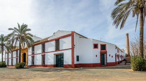 Foto 3 de Finca rústica en venta en Carretera Guadajoz , Carmona, Sevilla