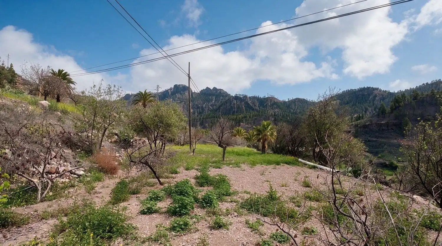 Casa o xalet en venda en San Bartolomé de Tirajana