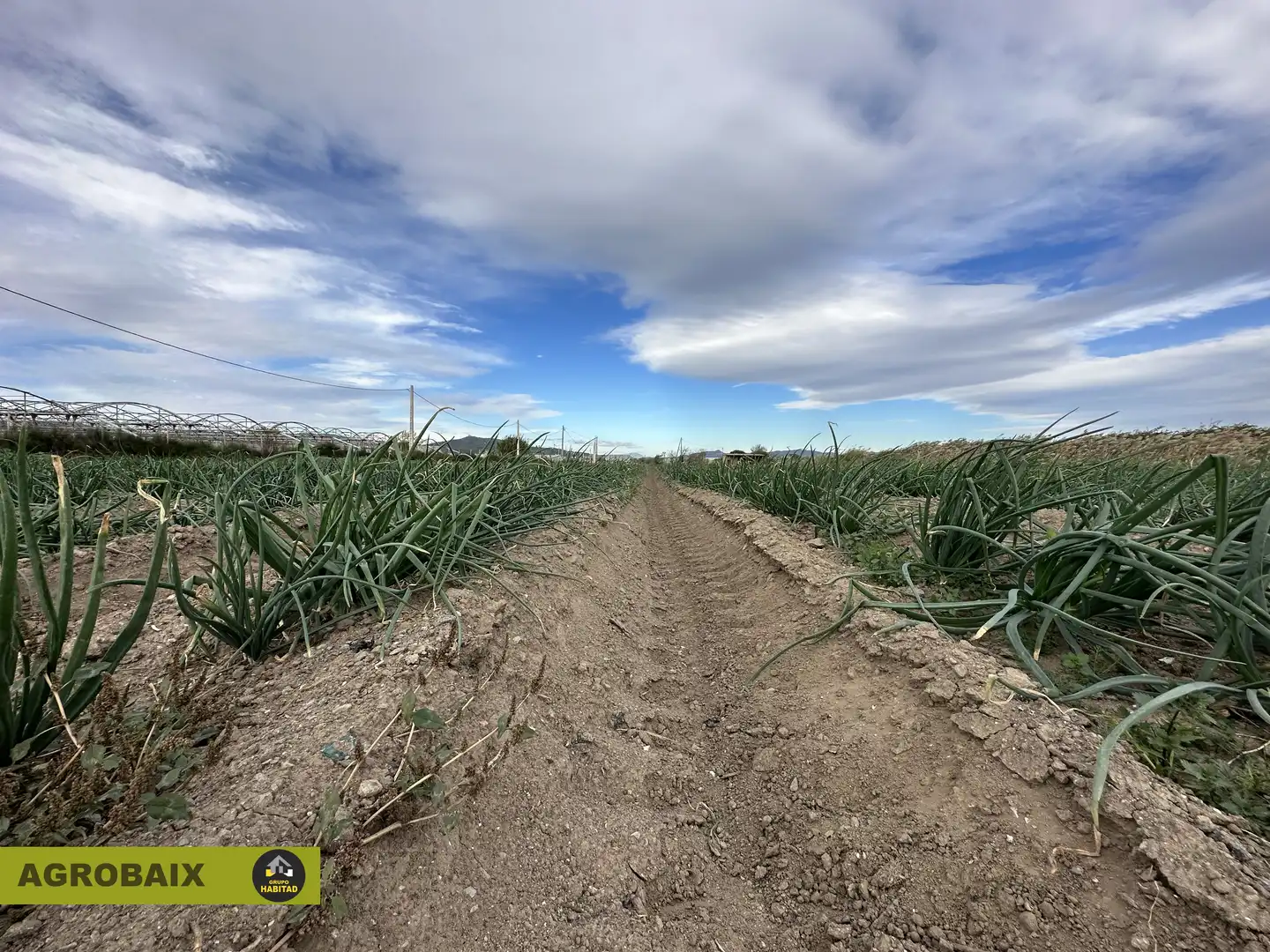 Rural land for sale in Torrent Ballester, imagen 11