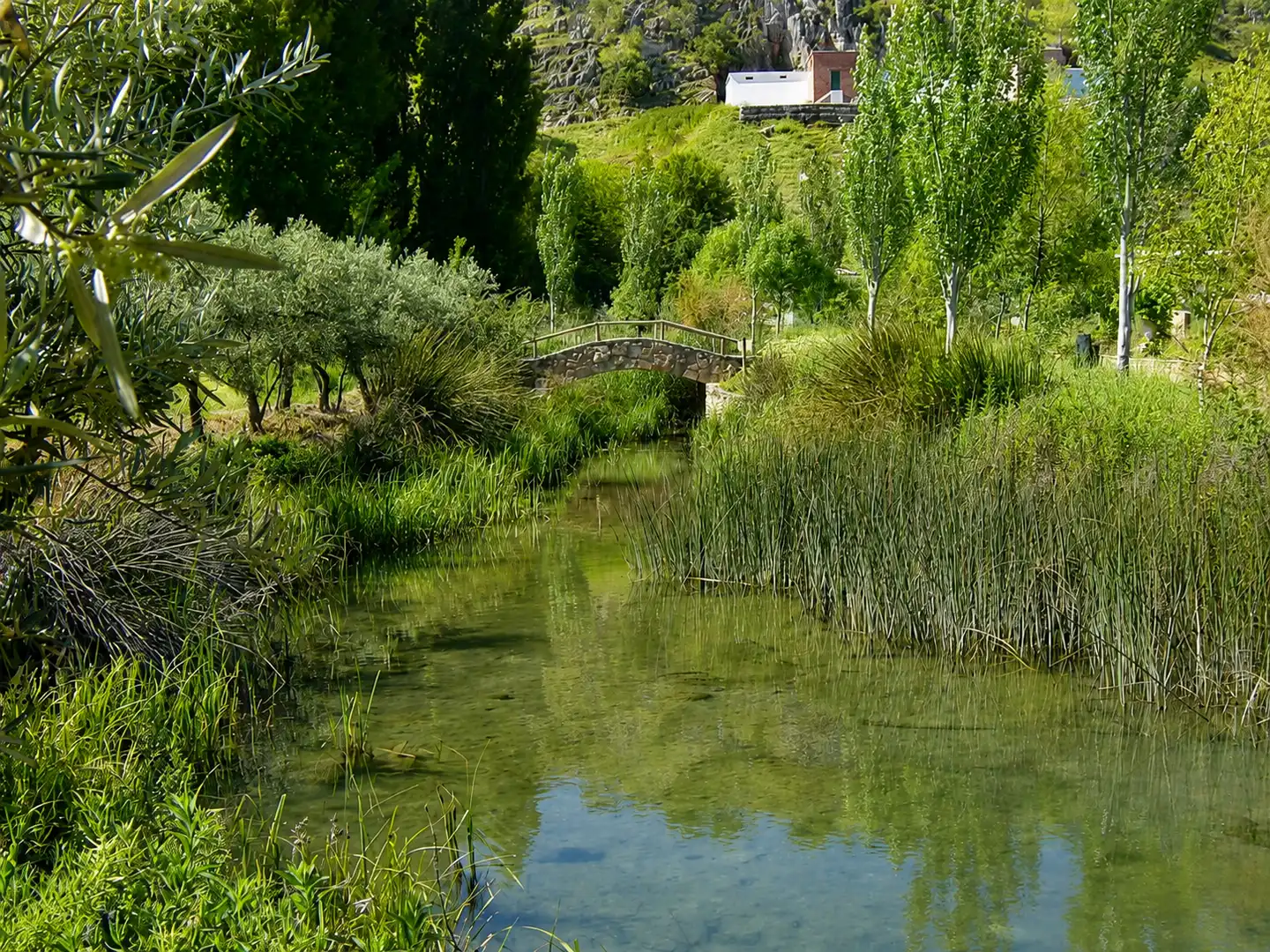 Jardí de Finca rústica en venda en Cañete la Real amb Terrassa i Traster