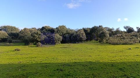 Foto 2 de Casa o xalet en venda a Ruta de la Plata, Cáceres