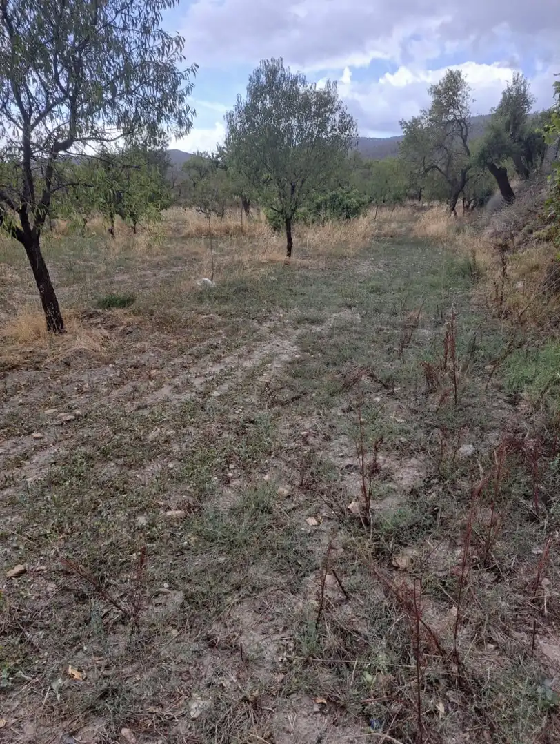 Lands and plots for sale in Lanteira, imagen 4