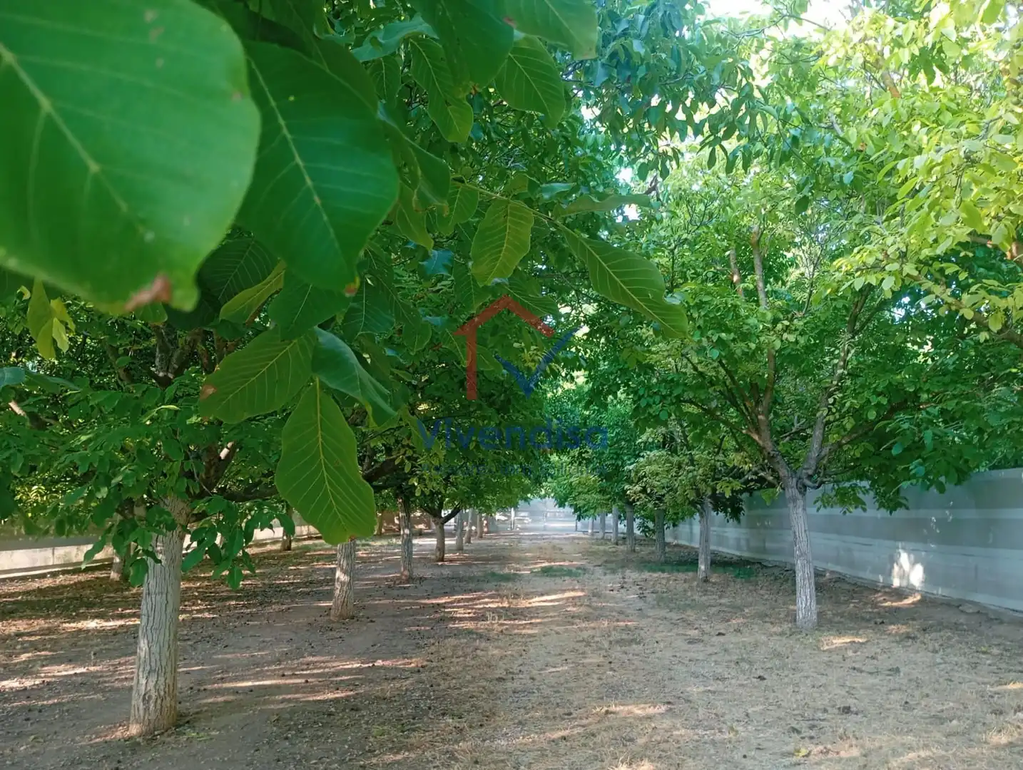 Terreny rústic en venda a Pesquera (Polígono 512), imagen 44