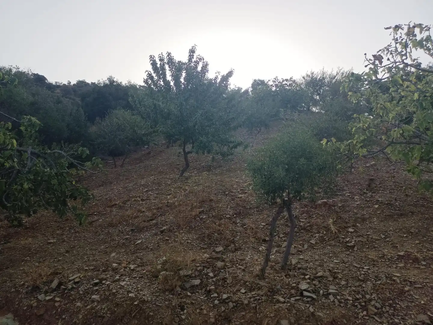 Terreni e lotti in vendita a Este, imagen 23