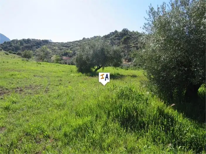 Terreni e lotti in vendita a Martos, imagen 3