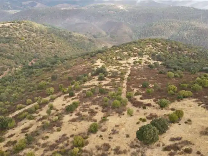 Terreno en venta en Zalamea la Real