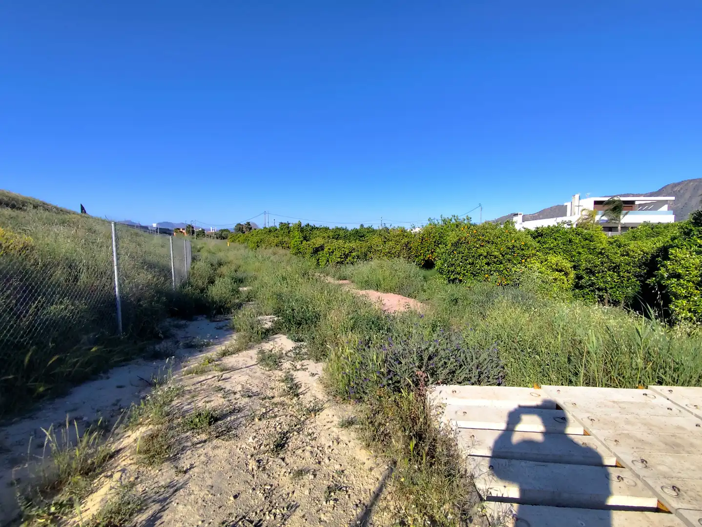 Terrenys i solars en venda a Diseminado Carril Magañas 15, imagen 7