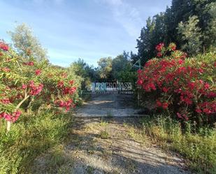 Finca rústica en venda en Montilla