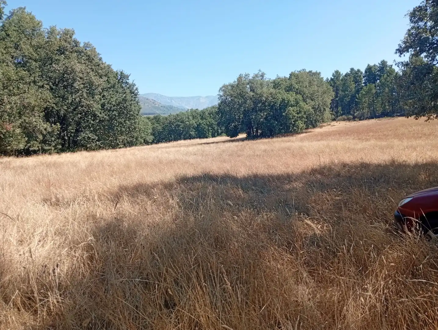 Terreni e lotti in vendita a Villanueva de la Vera, imagen 57