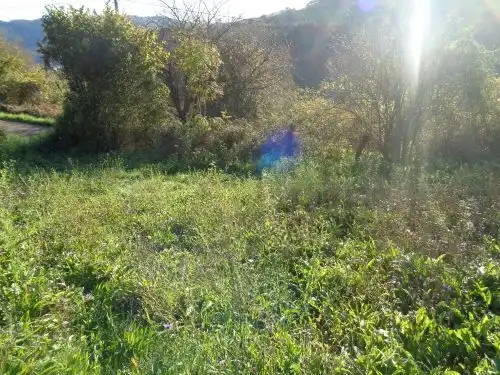 Terreno rustico in vendita a Parroquias suroccidentales, imagen 7