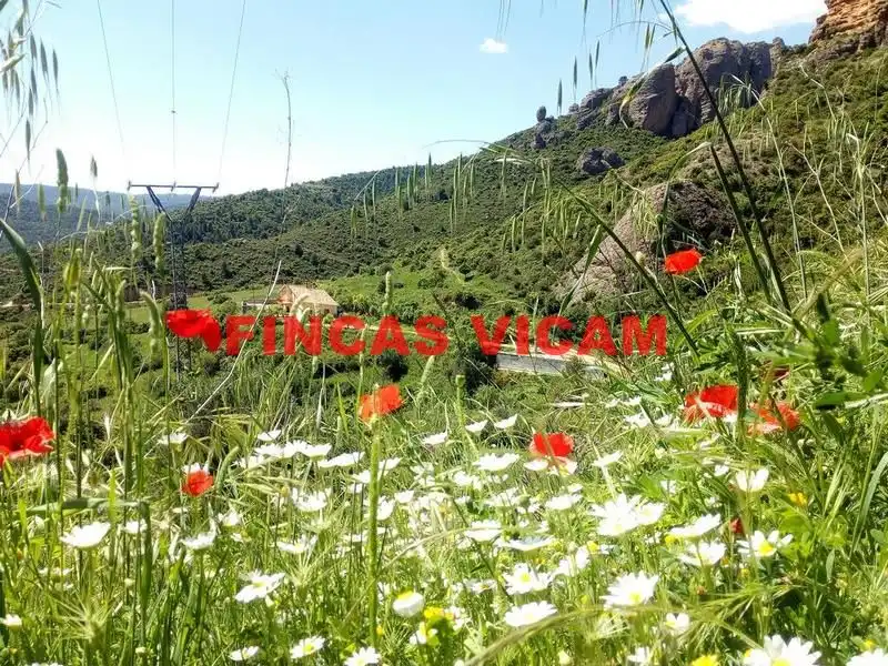 Finca rústica en venda en Agüero amb Calefacció, Jardí privat i Terrassa