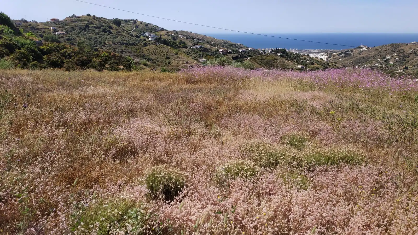 Country house zum Verkauf in Diseminado Pago Carrasco, 3051, Torrox Pueblo