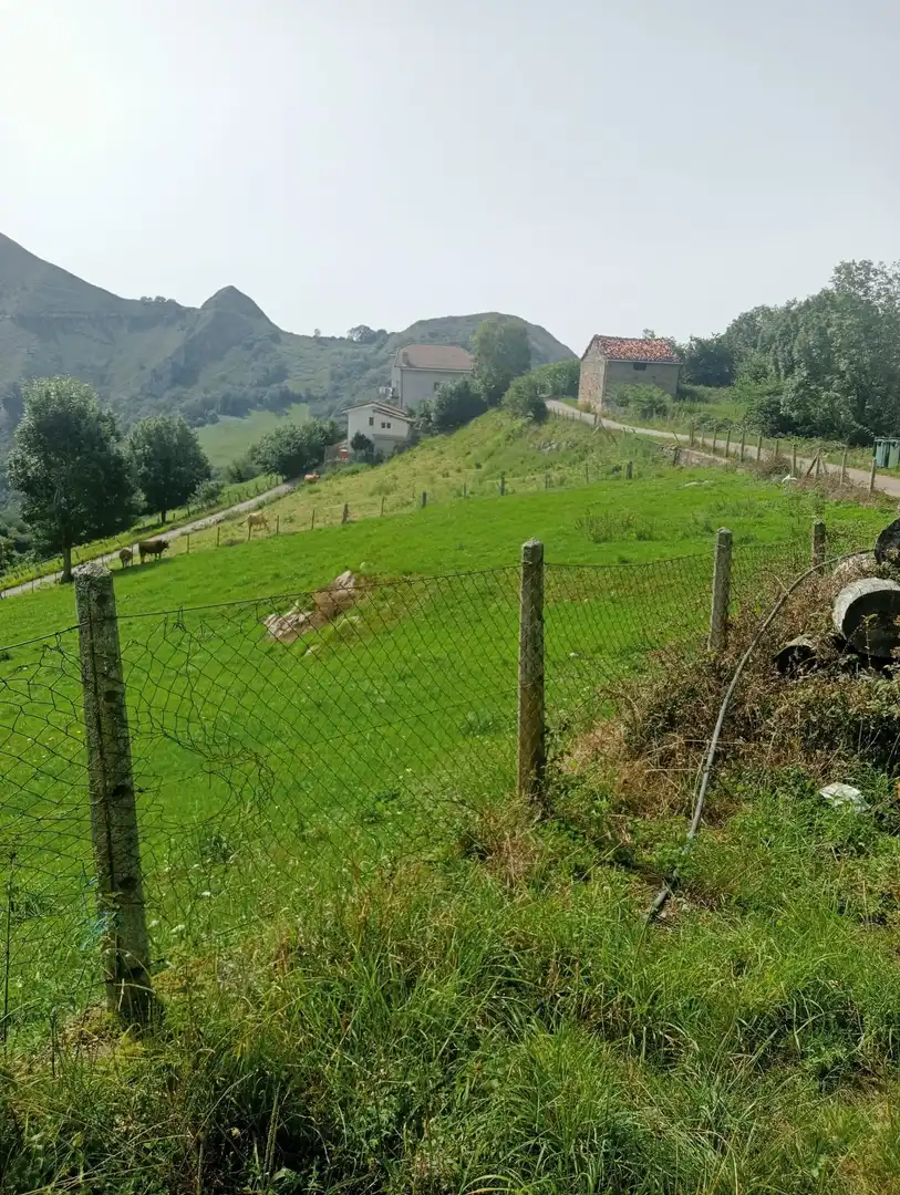 Grundstücke und Bauplätze zum Verkauf in Cangas de Onís
