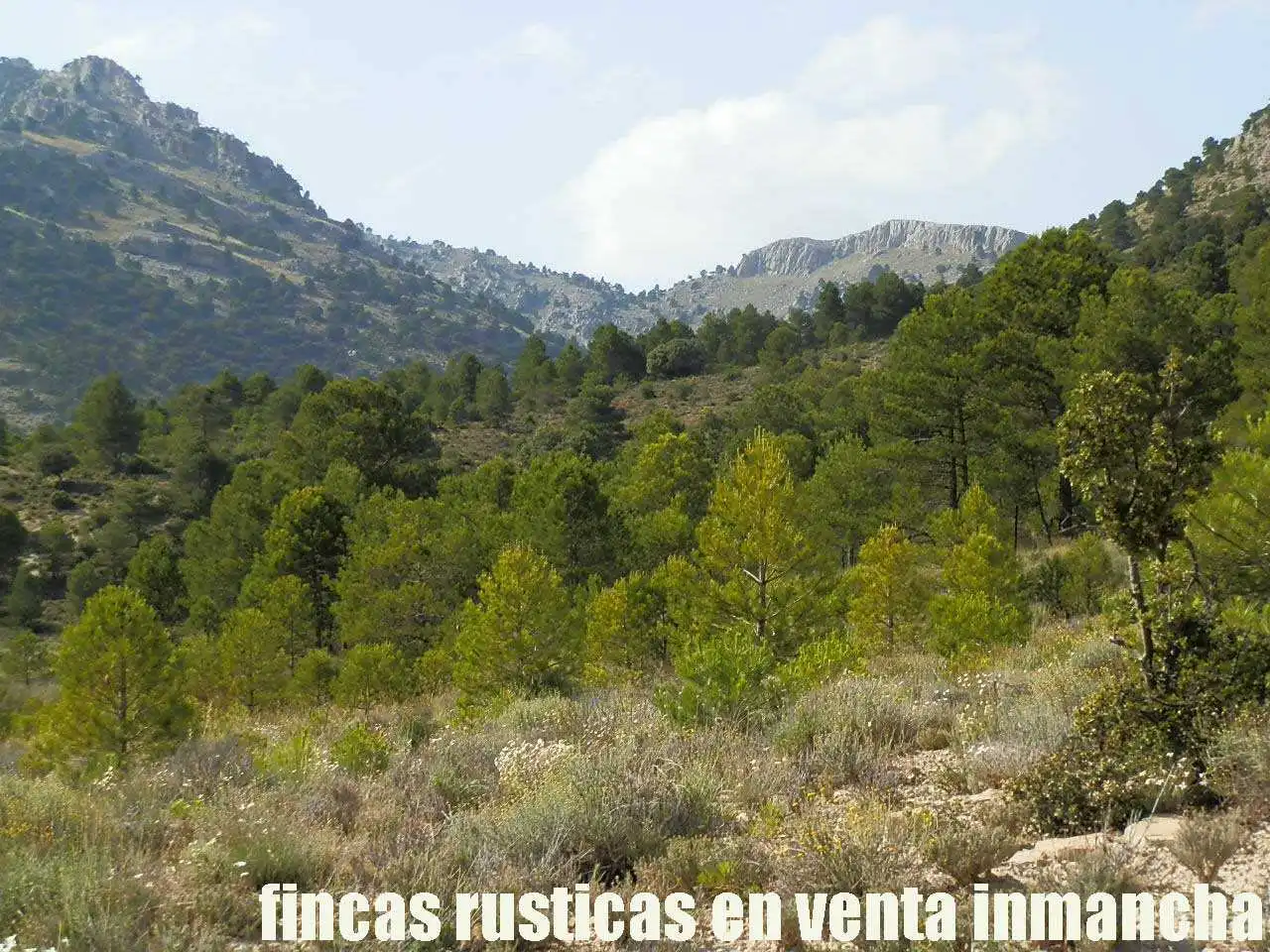 Terreno rustico in vendita a Caravaca de la Cruz, imagen 17