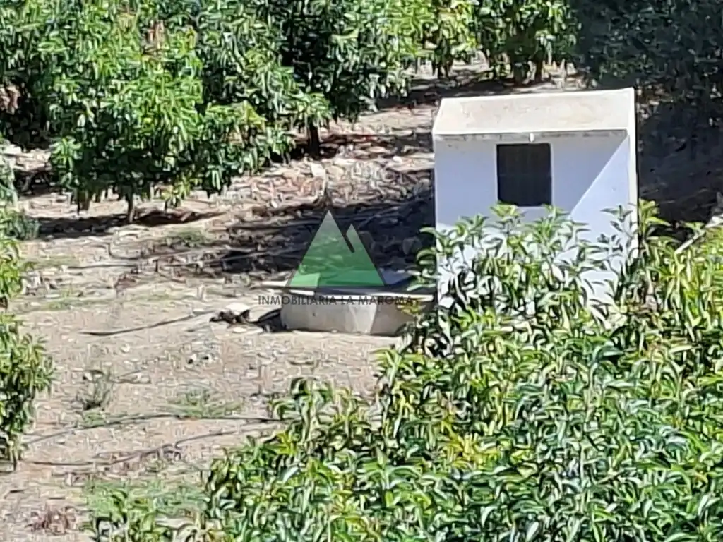 Country house for sale in Alcaucín, imagen 15