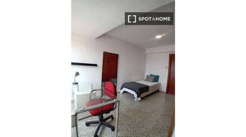 Foto 3 de Habitación en Pla de Bon Repós, Alicante / Alacant