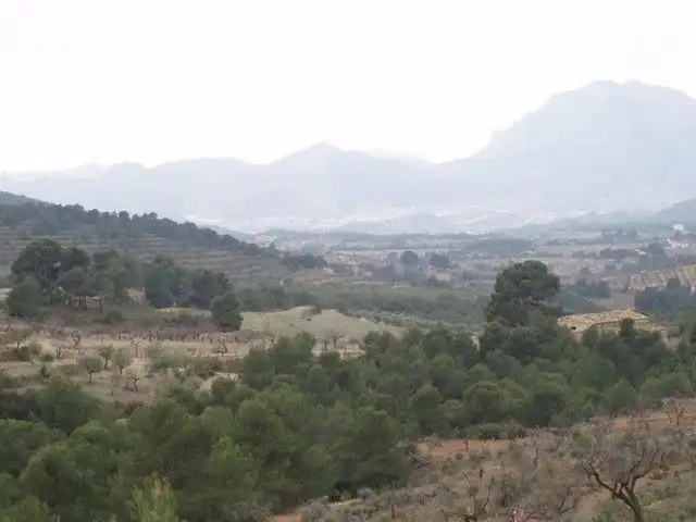 Rural land for sale in torremanzanas