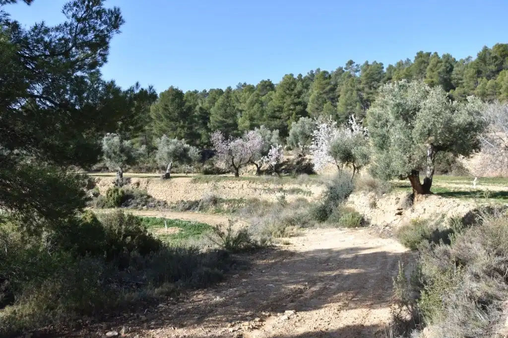 Country homes for sale in La Fresneda