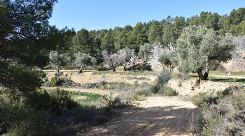 Foto 5 de Finca rústica en venta en La Fresneda, Teruel
