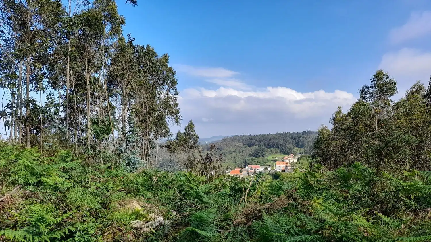 Rural land for sale in Lugar Val Arriba 3, imagen 8