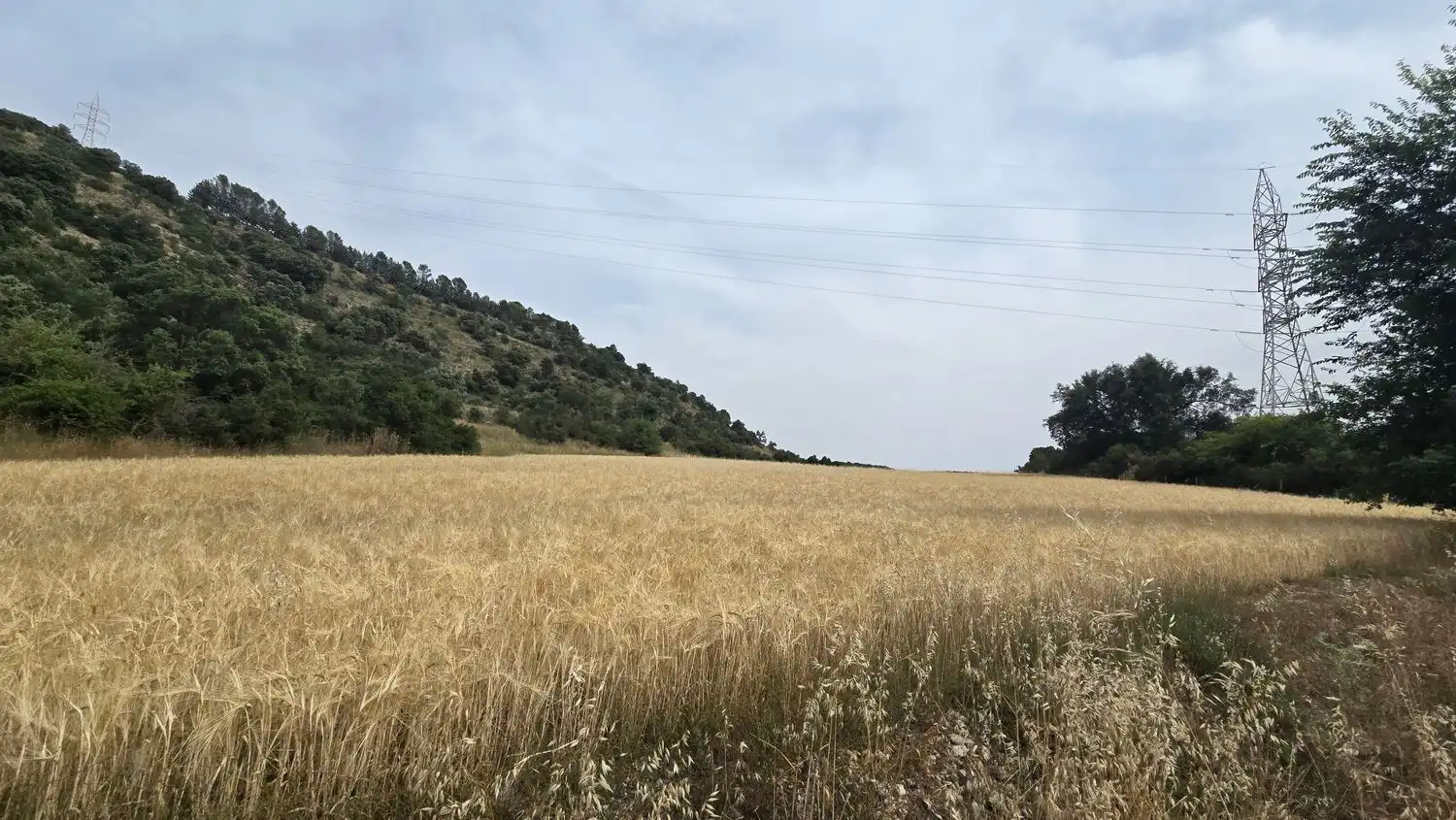 Terreno en venta en M-219, 175, Olmeda de las Fuentes