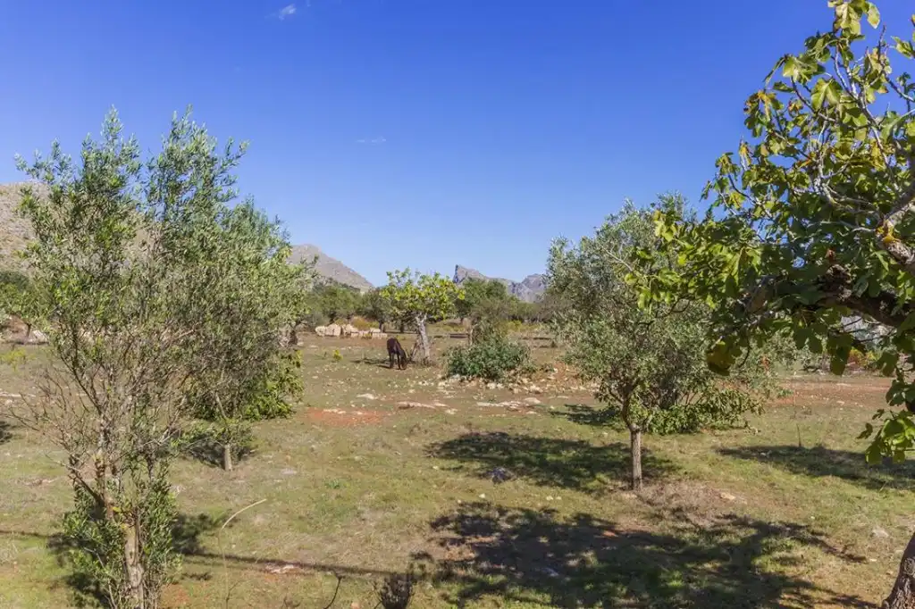 Terrain rustique à vendre à Port de Pollença, imagen 13