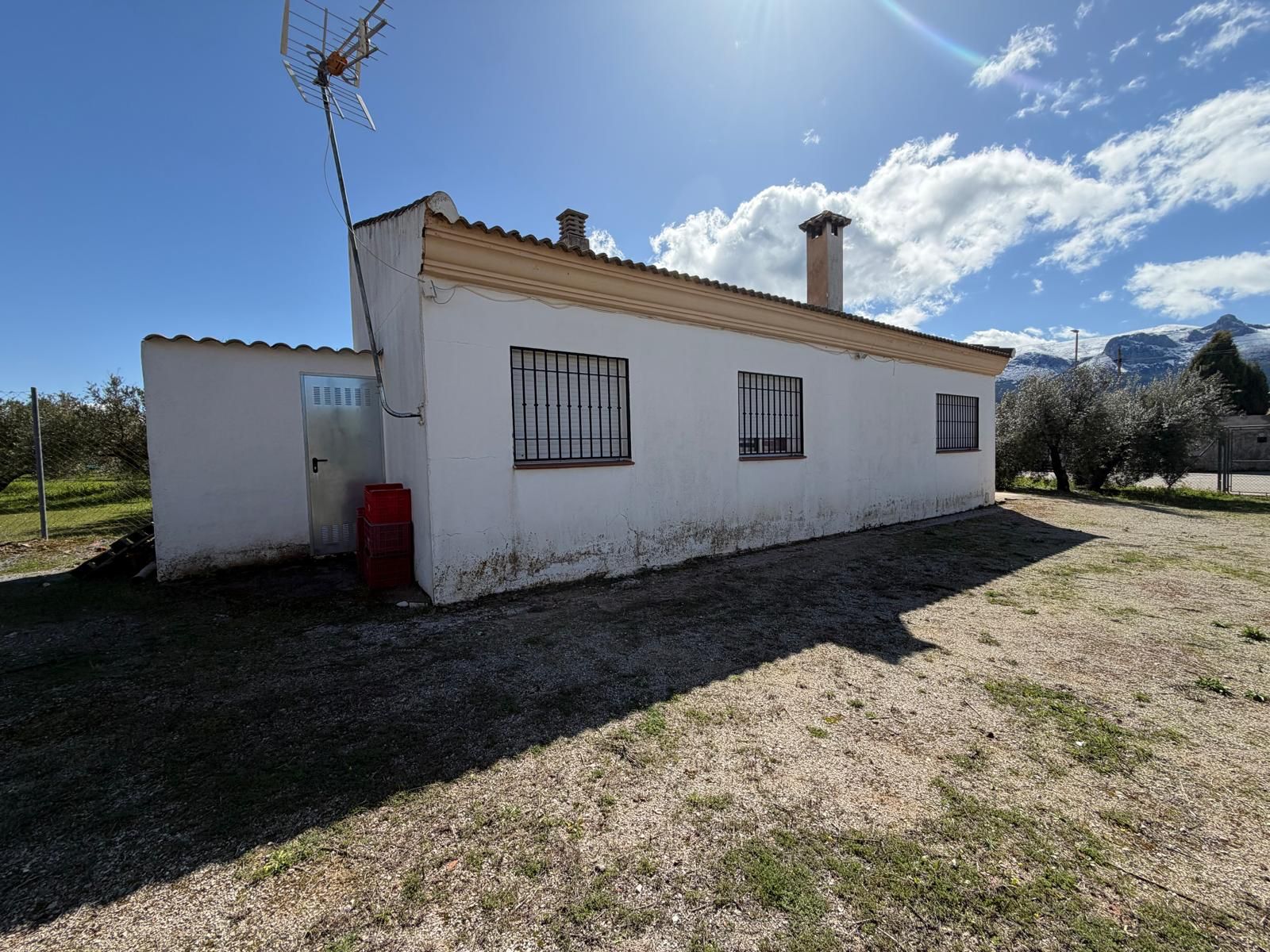 Vista exterior de Finca rústica en venta en Iznalloz