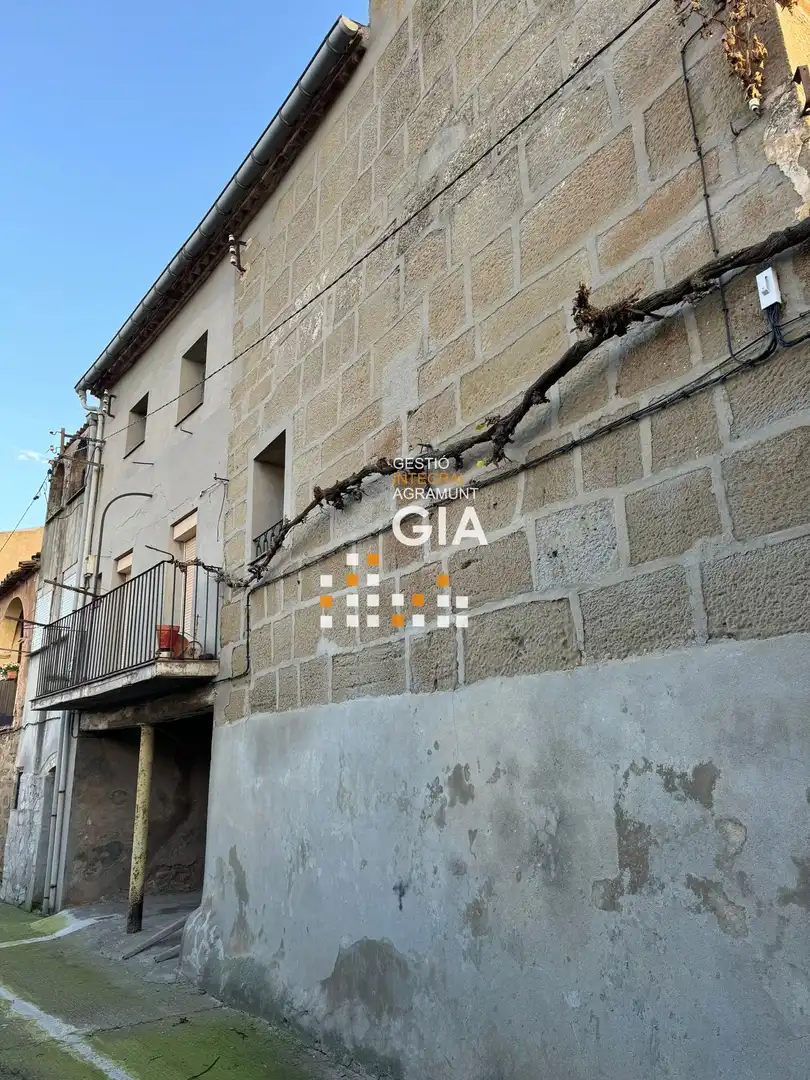 Exterior view of Houses for sale in Puigverd d'Agramunt