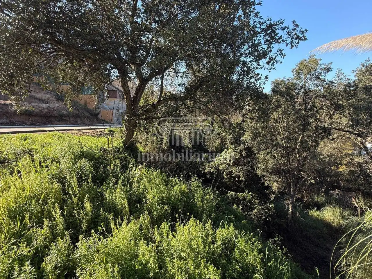 Terreno rústico en venta en Alella, imagen 4