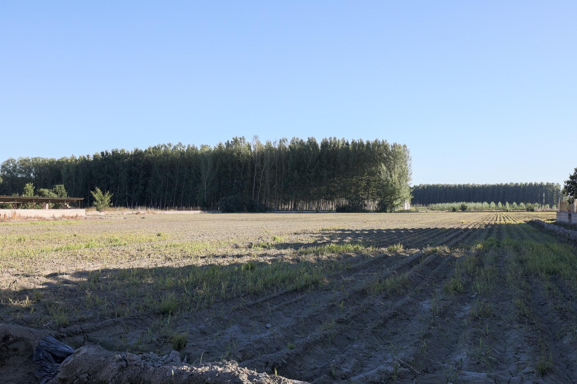 Casa o xalet en venda en Fuente Vaqueros